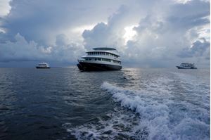 Picture of Драгоценный Ocean Sapphire