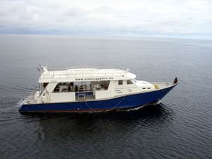 Picture of Драгоценный Ocean Sapphire