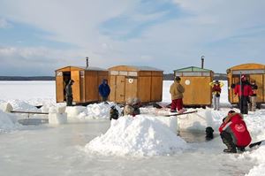 Picture of Белые на Белом