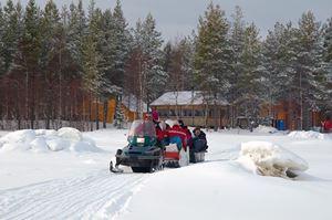 Picture of Белые на Белом