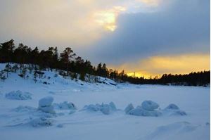 Picture of Белые на Белом