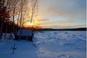 Picture of Белые на Белом