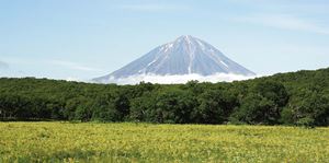 Picture of Камчатка: край, где встаёт солнце