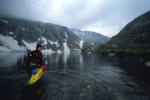 Picture of Айсберги и дайверы