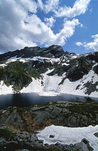 Picture of Айсберги и дайверы