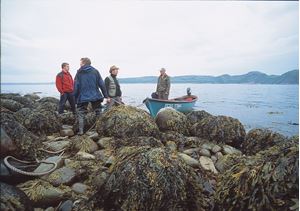 Picture of Море и озеро: Баренцево и Могильное