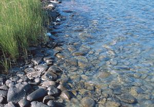 Picture of Море и озеро: Баренцево и Могильное