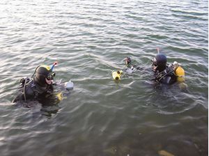 Picture of Море и озеро: Баренцево и Могильное