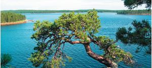 Picture of Белое море: когда сойдет лёд