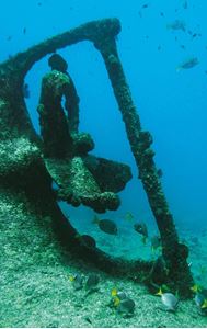 Picture of Море Кортеса
