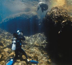 Picture of Море Кортеса