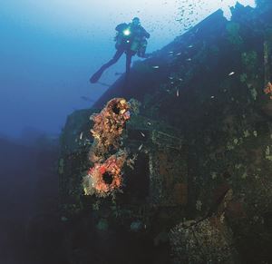 Picture of Учёба на каникулах