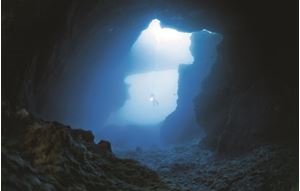 Picture of Учёба на каникулах