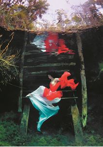 Picture of Свобода по-мексикански