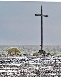 Picture of По следам Баренца