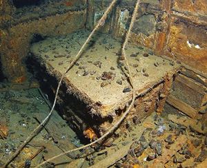 Picture of Змеиный: невидимый черноморский остров