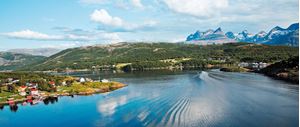Picture of Сальстраумен: дайвинг в водоворотах