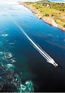 Picture of Сальстраумен: дайвинг в водоворотах