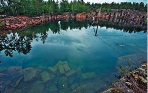 Picture of Деревянноголовый дайвер