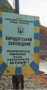Picture of Подводные секреты Меганома 
