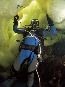 Picture of Белое море: ледниковый период