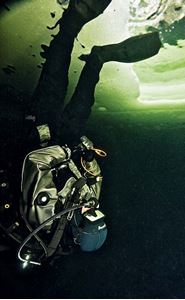 Picture of Кто назвал это море – белым и за что?