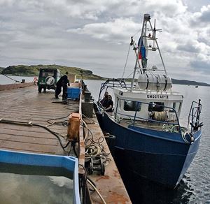Picture of Мир подводных ангелов