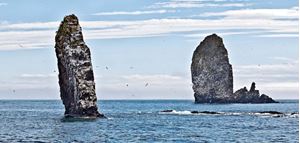 Picture of Дайвинг на краю земли 