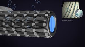 Picture of Искусственные жабры: мировая сенсация  отменяется?