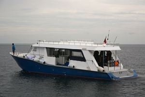 Picture of Сибайк по-мальдивски