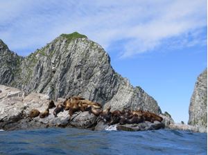 Picture of Нырять на Курилах: 25 лет спустя