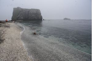 Picture of Нырять на Курилах: 25 лет спустя