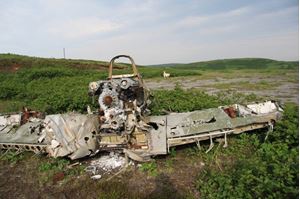Picture of Нырять на Курилах: 25 лет спустя