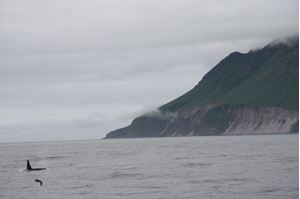 Picture of Нырять на Курилах: 25 лет спустя