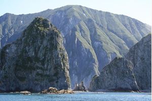 Picture of Нырять на Курилах: 25 лет спустя