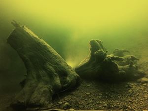 Picture of Алтын-Кёль подо льдом