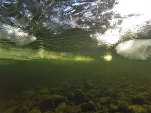 Picture of Алтын-Кёль подо льдом