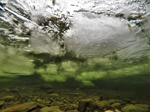 Picture of Алтын-Кёль подо льдом