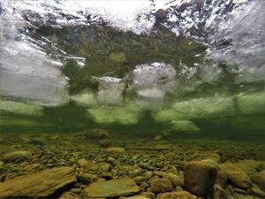 Picture of Алтын-Кёль подо льдом