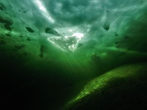 Picture of Алтын-Кёль подо льдом