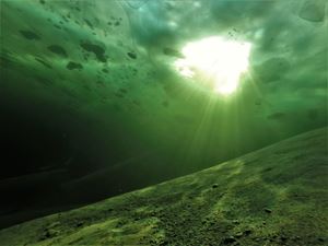 Picture of Алтын-Кёль подо льдом