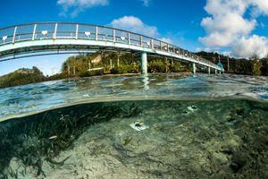 Picture of На Гуам как на дачу: близкая Микронезия, безвизовая Америка