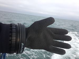 Picture of Waterproof EX2: большой камчатский  комплект